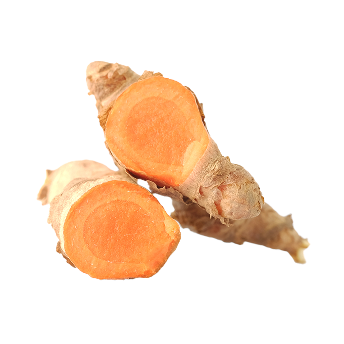 Kurkuma dlhá