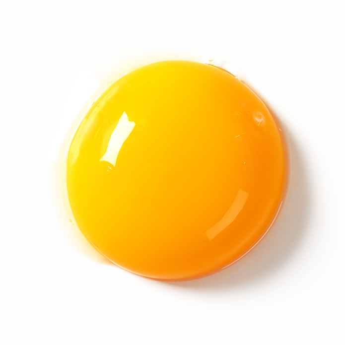 Egg yolk