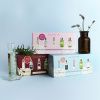 Havlíkova apotéka Discovery boxy